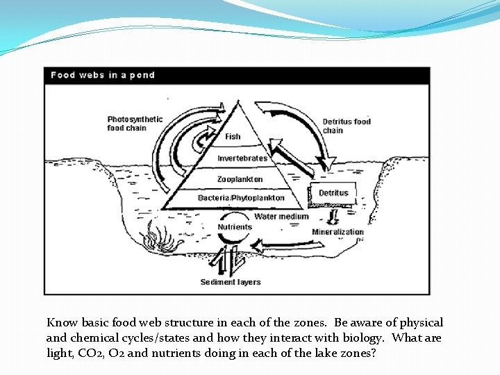 Know basic food web structure in each of the zones. Be aware of physical Know basic food web structure in each of the zones. Be aware of physical