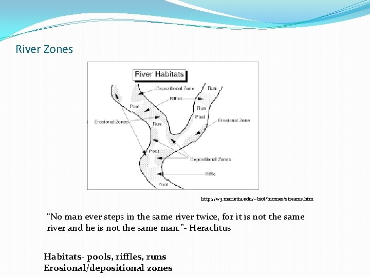 River Zones http: //w 3. marietta. edu/~biol/biomes/streams. htm “No man ever steps in the River Zones http: //w 3. marietta. edu/~biol/biomes/streams. htm “No man ever steps in the