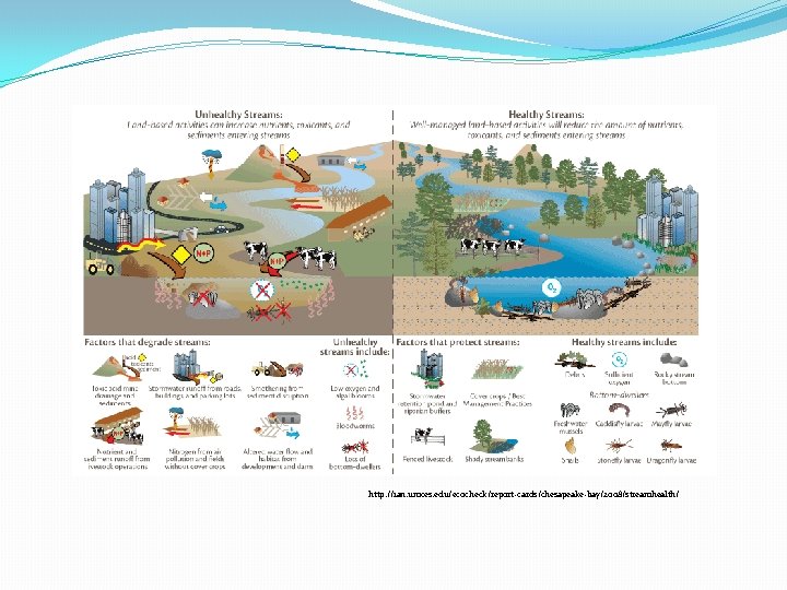 http: //ian. umces. edu/ecocheck/report-cards/chesapeake-bay/2008/streamhealth/ http: //ian. umces. edu/ecocheck/report-cards/chesapeake-bay/2008/streamhealth/