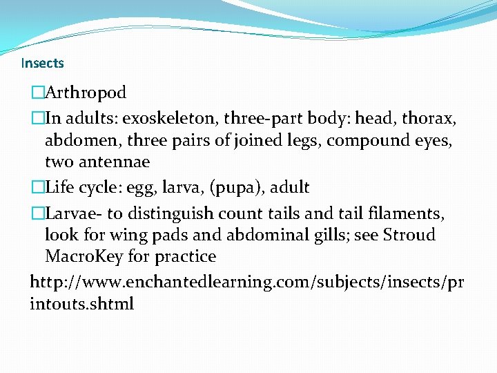 Insects �Arthropod �In adults: exoskeleton, three-part body: head, thorax, abdomen, three pairs of joined Insects �Arthropod �In adults: exoskeleton, three-part body: head, thorax, abdomen, three pairs of joined