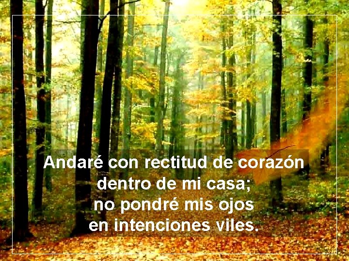 Andaré con rectitud de corazón dentro de mi casa; no pondré mis ojos en