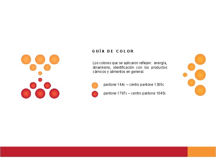 GUÍA DE COLOR Los colores que se aplicaron reflejan: energía, dinamismo, identificación con los
