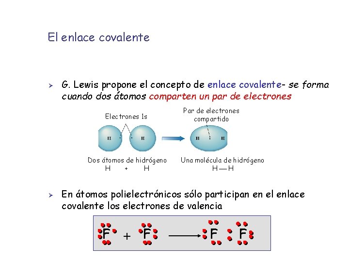 El enlace covalente Ø G. Lewis propone el concepto de enlace covalente- se forma