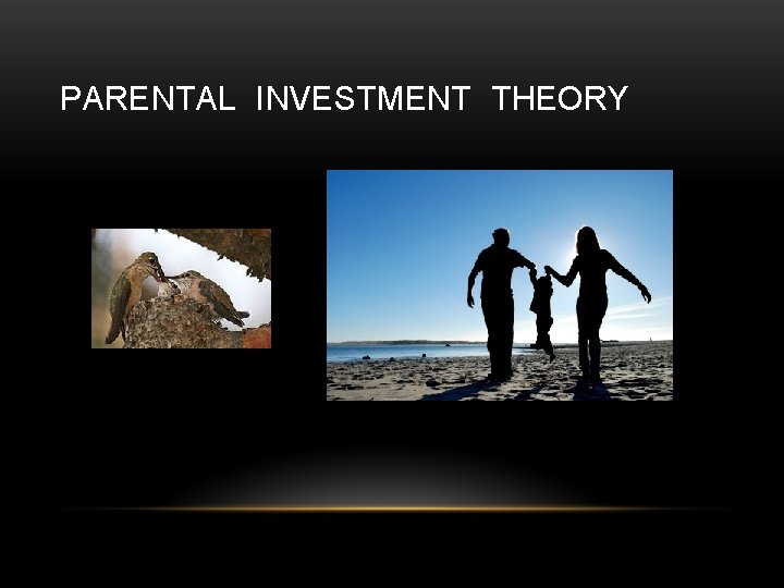 PARENTAL INVESTMENT THEORY 
