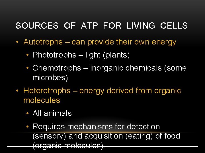 SOURCES OF ATP FOR LIVING CELLS • Autotrophs – can provide their own energy