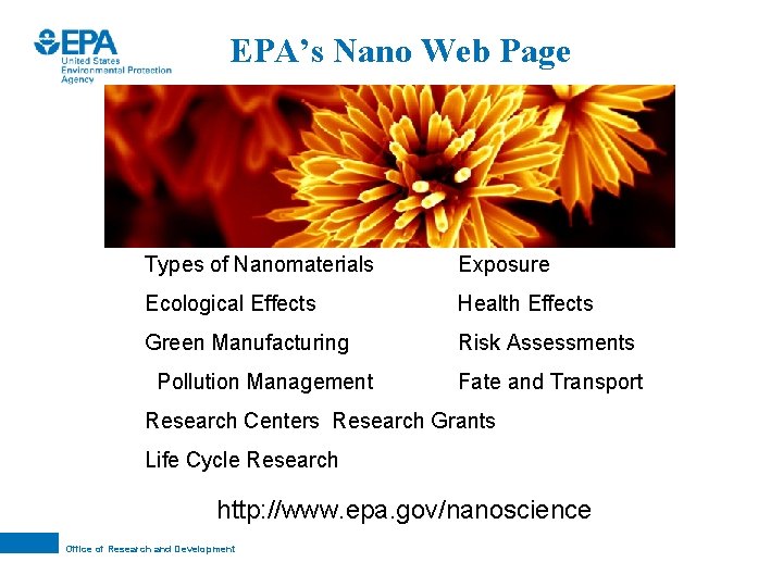 EPA’s Nano Web Page Types of Nanomaterials Exposure Ecological Effects Health Effects Green Manufacturing