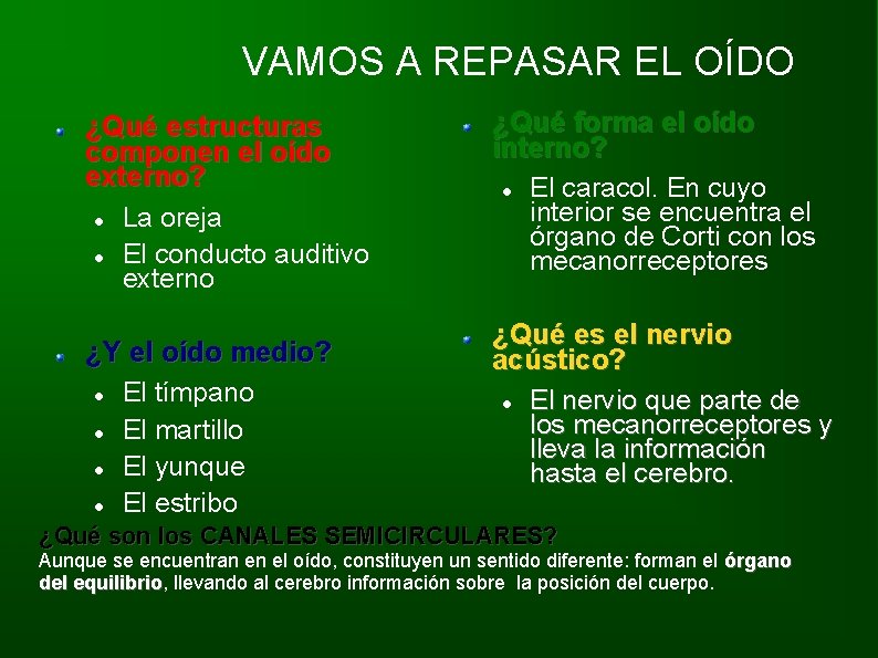 VAMOS A REPASAR EL OÍDO ¿Qué estructuras componen el oído externo? La oreja El