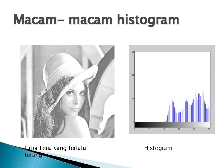 Macam- macam histogram Citra Lena yang terlalu terang Histogram 