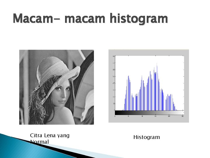 Macam- macam histogram Citra Lena yang Normal Histogram 