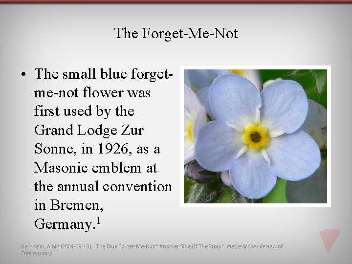 The Forget-Me-Not • The small blue forgetme-not flower was first used by the Grand