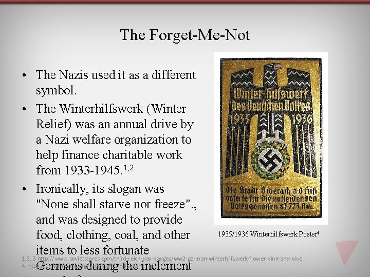 The Forget-Me-Not • The Nazis used it as a different symbol. • The Winterhilfswerk