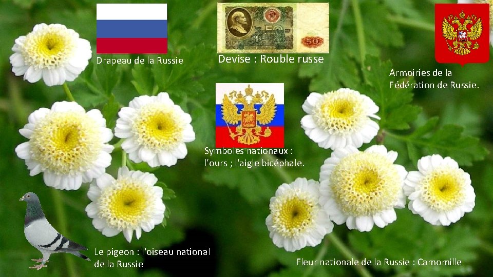 Devise : Rouble russe Drapeau de la Russie Armoiries de la Fédération de Russie.