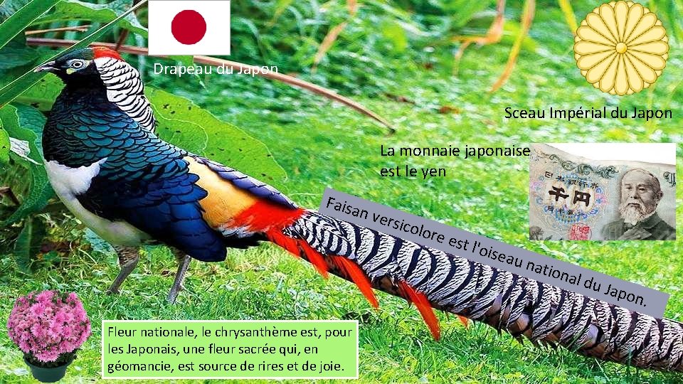 Drapeau du Japon Sceau Impérial du Japon La monnaie japonaise est le yen Faisa