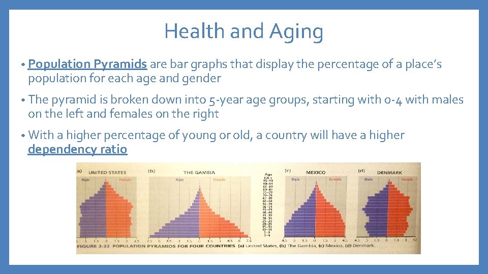 Health and Aging • Population Pyramids are bar graphs that display the percentage of