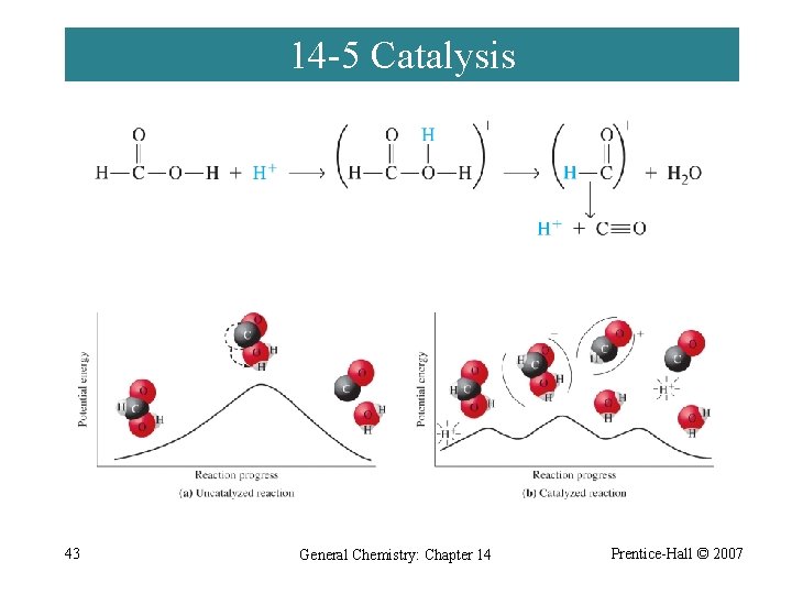 14 -5 Catalysis 43 General Chemistry: Chapter 14 Prentice-Hall © 2007 