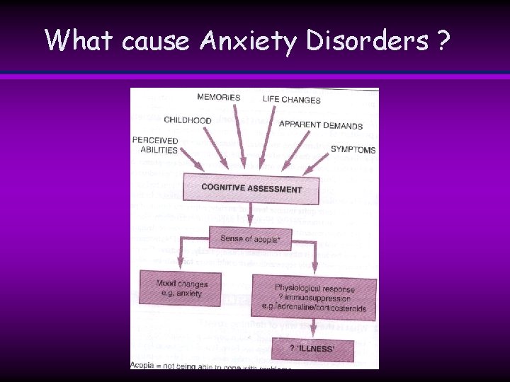 What cause Anxiety Disorders ? What cause Anxiety Disorders ?