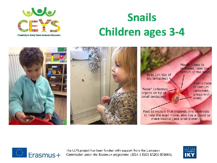 Snails Children ages 3 -4 Snails Children ages 3 -4