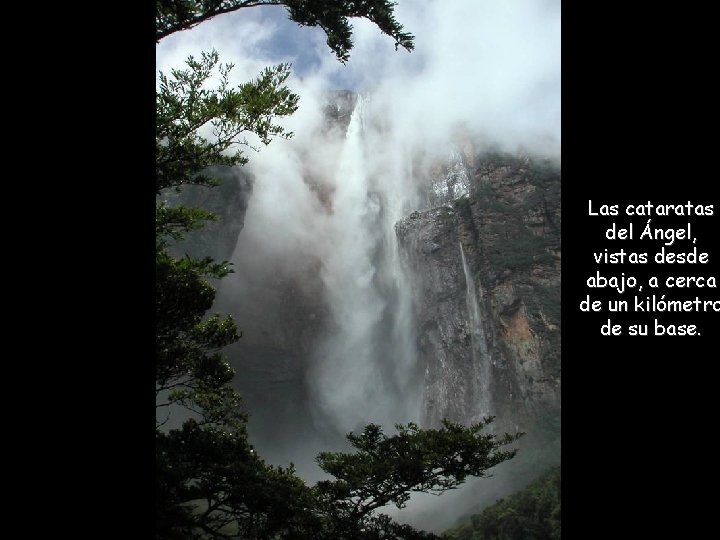 Las cataratas del Ángel, vistas desde abajo, a cerca de un kilómetro de su