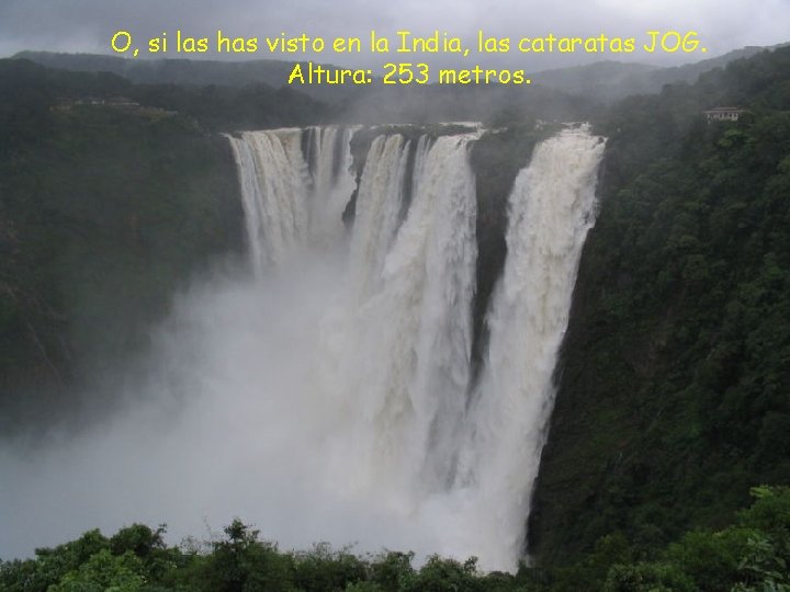 O, si las has visto en la India, las cataratas JOG. Altura: 253 metros.