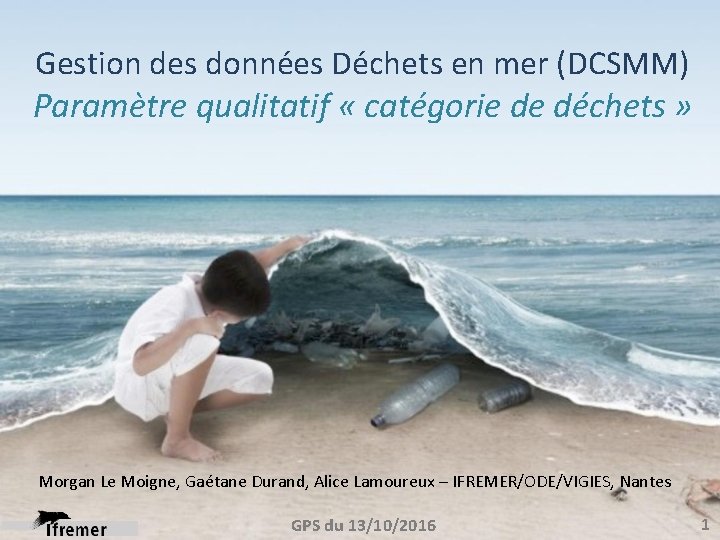 Gestion des données Déchets en mer (DCSMM) Paramètre qualitatif « catégorie de déchets »