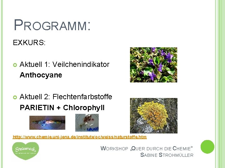 PROGRAMM: EXKURS: Aktuell 1: Veilchenindikator Anthocyane Aktuell 2: Flechtenfarbstoffe PARIETIN + Chlorophyll http: //www.