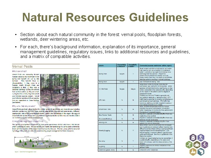 Natural Resources Guidelines • Section about each natural community in the forest: vernal pools,