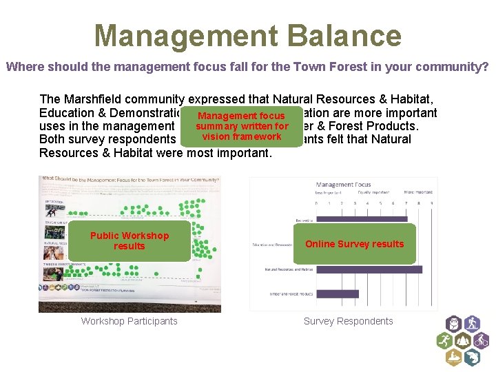 Management Balance Where should the management focus fall for the Town Forest in your