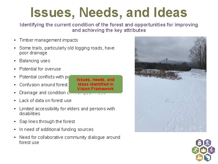 Issues, Needs, and Ideas Identifying the current condition of the forest and opportunities for