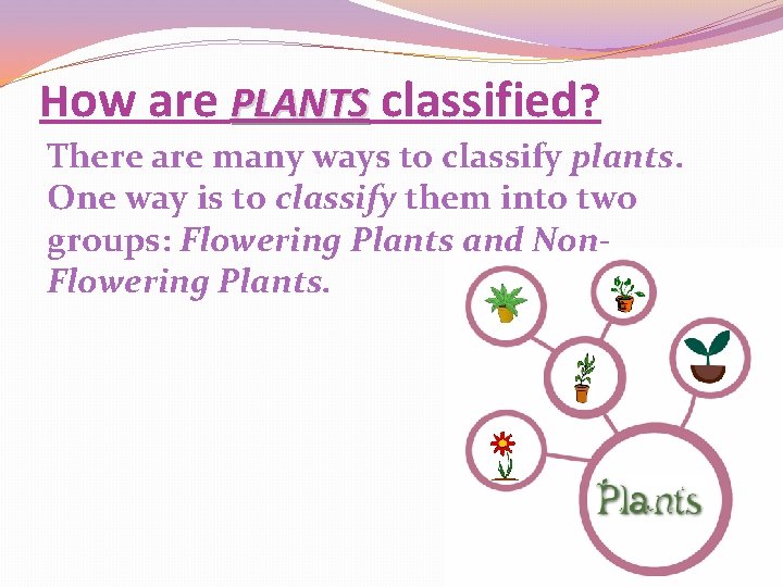 How are PLANTS classified? There are many ways to classify plants. One way is