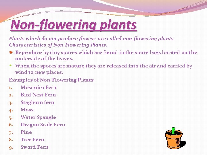 Non-flowering plants Plants which do not produce flowers are called non-flowering plants. Characteristics of