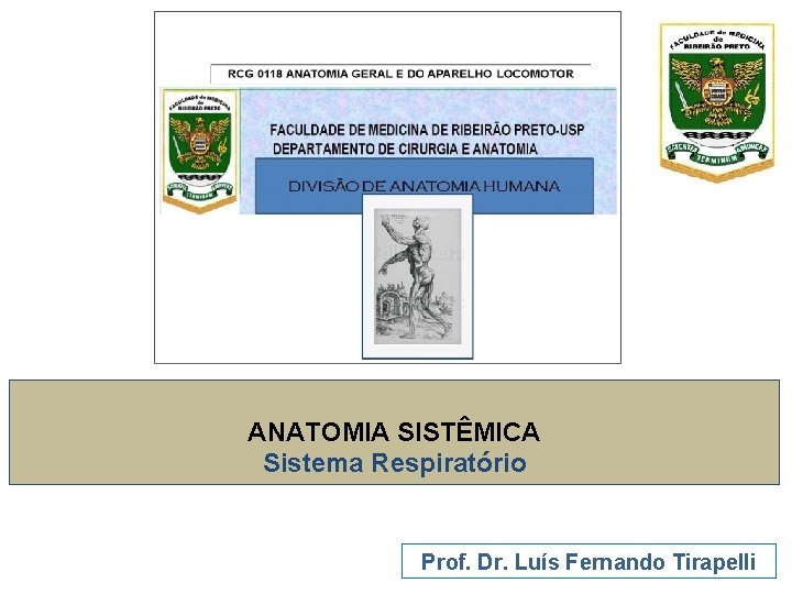ANATOMIA SISTÊMICA Sistema Respiratório Prof. Dr. Luís Fernando Tirapelli 