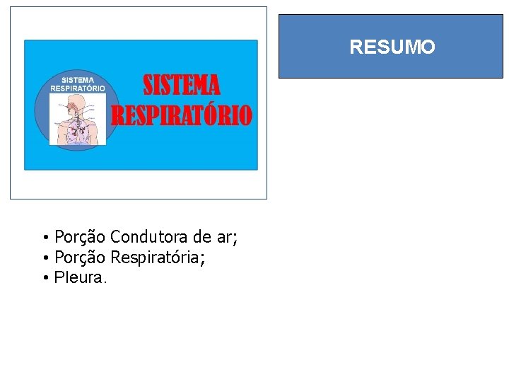 RESUMO • Porção Condutora de ar; • Porção Respiratória; • Pleura. 