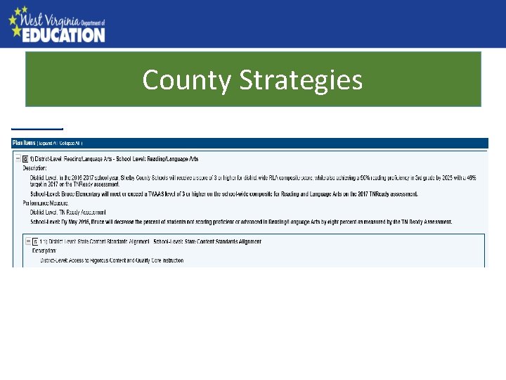 County Strategies County Needs Assessment 