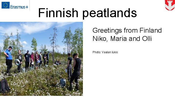 Finnish peatlands Greetings from Finland Niko, Maria and Olli Photo: Vaalan lukio 