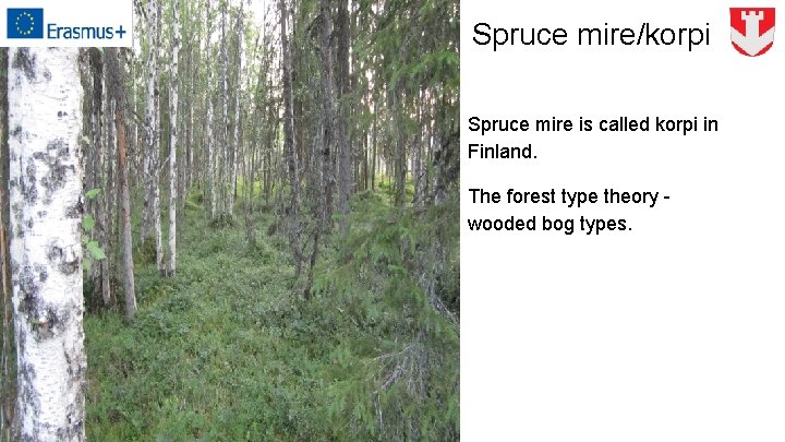 Spruce mire/korpi Spruce mire is called korpi in Finland. The forest type theory wooded