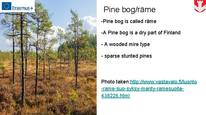 Pine bog/räme -Pine bog is called räme -A Pine bog is a dry part
