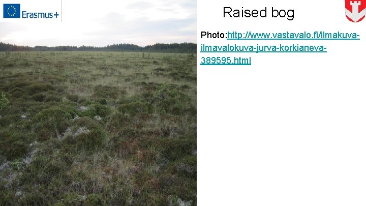 Raised bog Photo: http: //www. vastavalo. fi/ilmakuvailmavalokuva-jurva-korkianeva 389595. html 