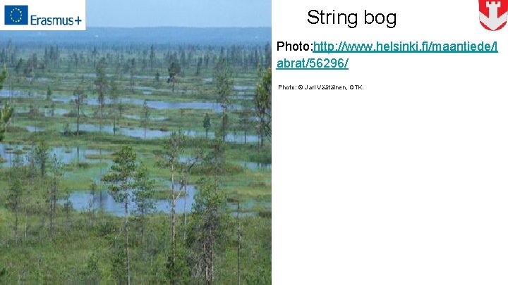 String bog Photo: http: //www. helsinki. fi/maantiede/l abrat/56296/ Photo: © Jari Väätäinen, GTK. 