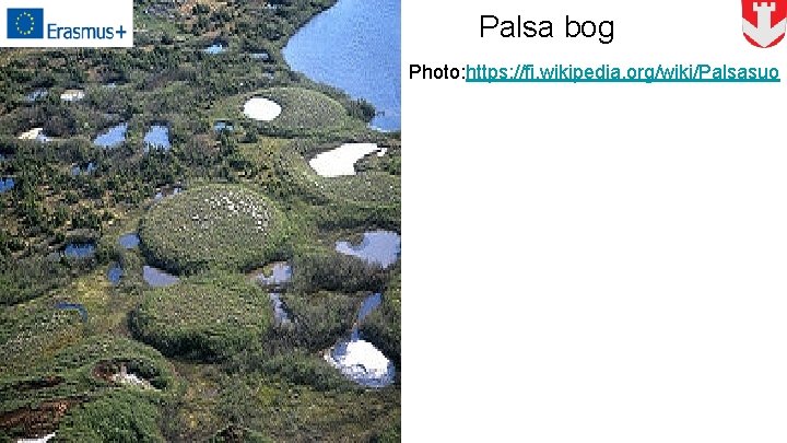 Palsa bog Photo: https: //fi. wikipedia. org/wiki/Palsasuo 