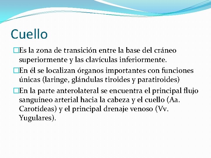 Cuello �Es la zona de transición entre la base del cráneo superiormente y las