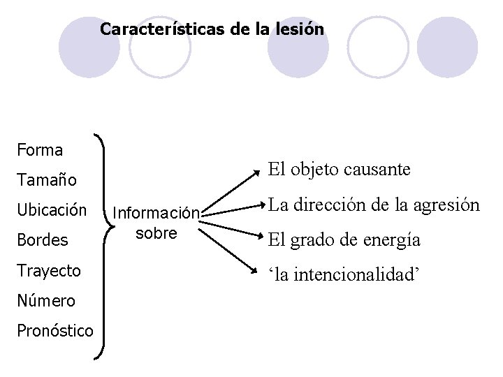 Características de la lesión Forma El objeto causante Tamaño Ubicación Bordes Trayecto Número Pronóstico