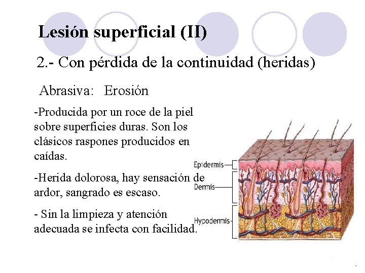 Lesión superficial (II) 2. - Con pérdida de la continuidad (heridas) Abrasiva: Erosión -Producida