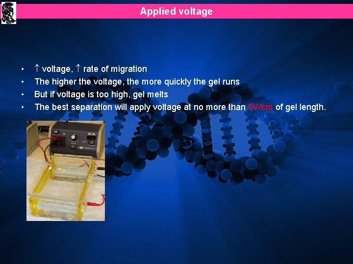 Applied voltage • • voltage, rate of migration The higher the voltage, the more Applied voltage • • voltage, rate of migration The higher the voltage, the more