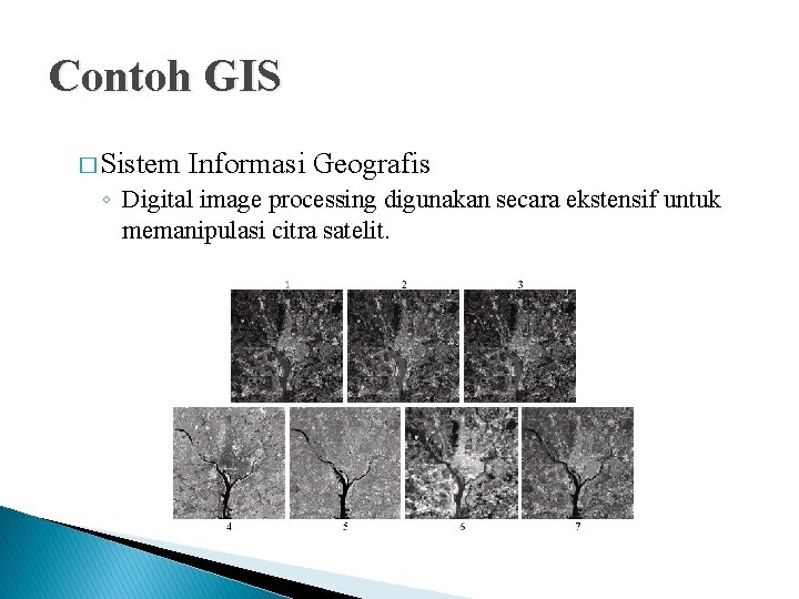 Contoh GIS � Sistem Informasi Geografis ◦ Digital image processing digunakan secara ekstensif untuk Contoh GIS � Sistem Informasi Geografis ◦ Digital image processing digunakan secara ekstensif untuk