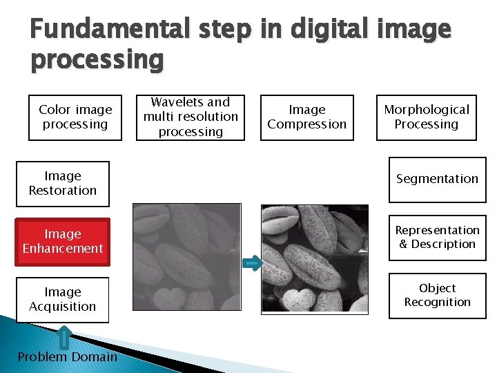 Fundamental step in digital image processing Color image processing Wavelets and multi resolution processing Fundamental step in digital image processing Color image processing Wavelets and multi resolution processing