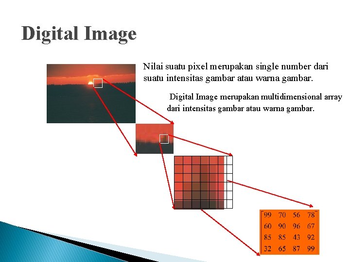 Digital Image Nilai suatu pixel merupakan single number dari suatu intensitas gambar atau warna Digital Image Nilai suatu pixel merupakan single number dari suatu intensitas gambar atau warna