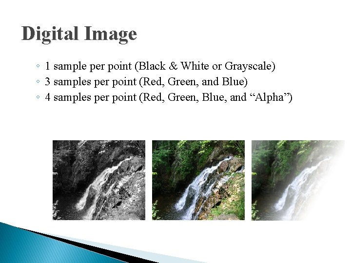 Digital Image ◦ 1 sample per point (Black & White or Grayscale) ◦ 3 Digital Image ◦ 1 sample per point (Black & White or Grayscale) ◦ 3