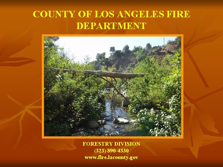 COUNTY OF LOS ANGELES FIRE DEPARTMENT FORESTRY DIVISION (323) 890 -4330 www. fire. lacounty.