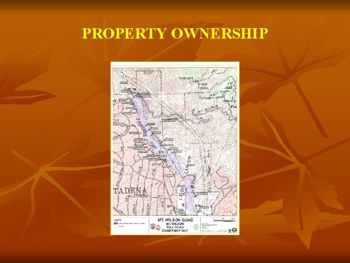 PROPERTY OWNERSHIP 
