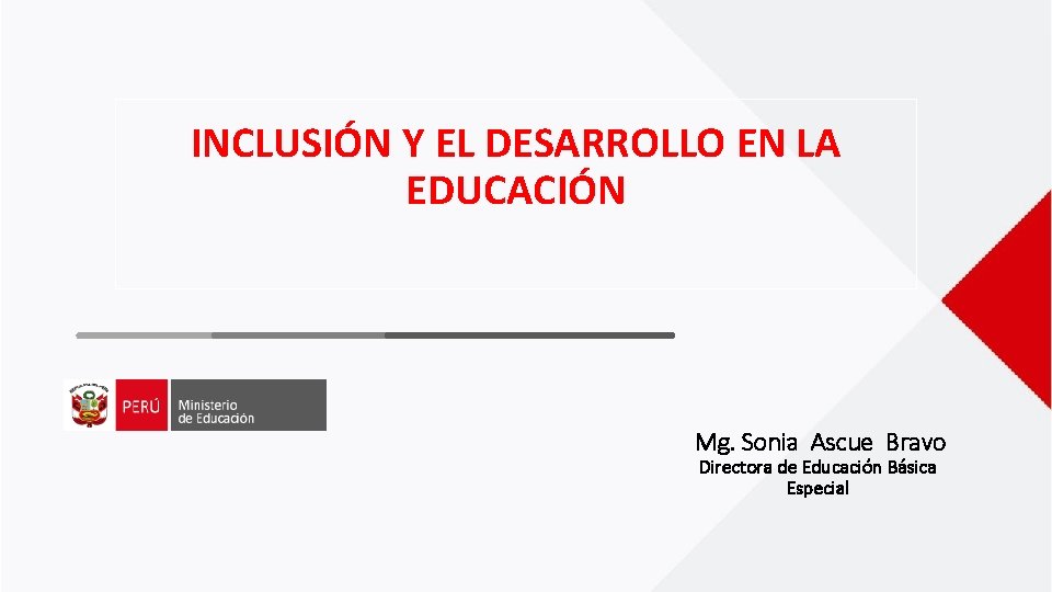 INCLUSIN Y EL DESARROLLO EN LA EDUCACIN Mg